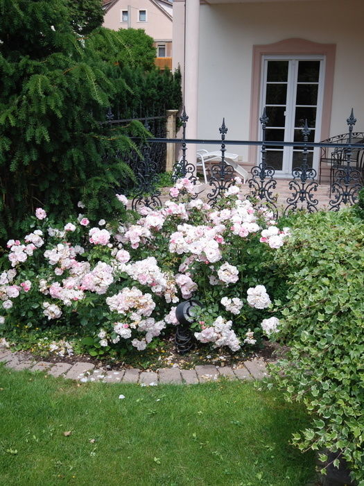 Gartenanlage HotelResidenz am Rosengarten Wellnesshotel Bad Kissingen Rhön