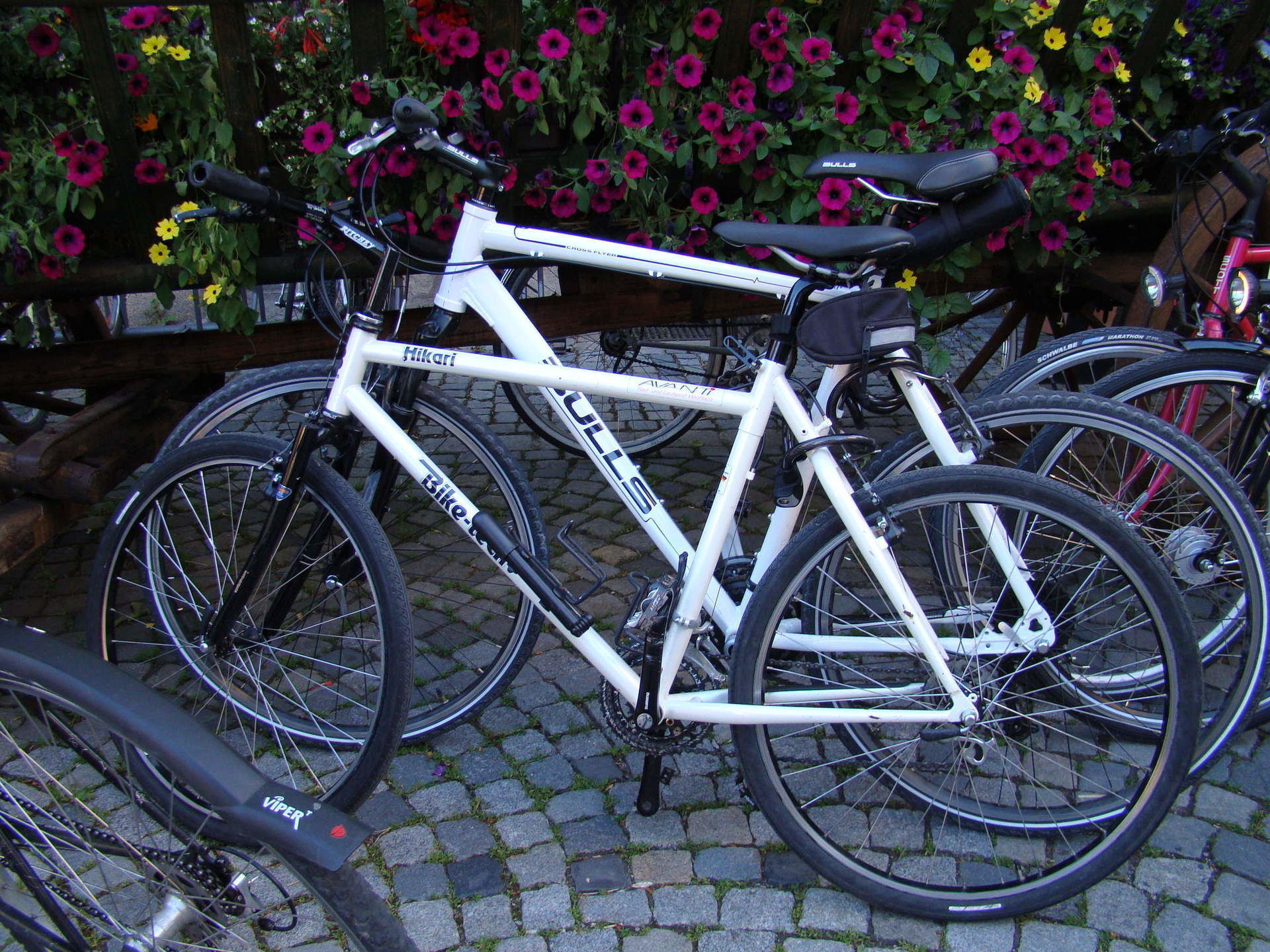40 min fahrrad fahren