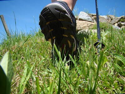 Wandern oder Nordic-Walking im Bayerischen Wald.